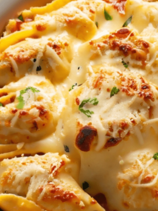 Homemade Stuffed Shells: Savor the Comfort of a Cheesy Italian Delight