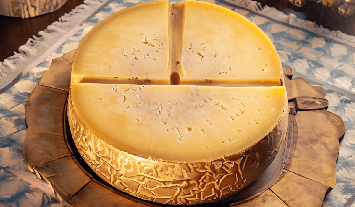 Reggianito Revelry-A Journey into Argentine Cheese